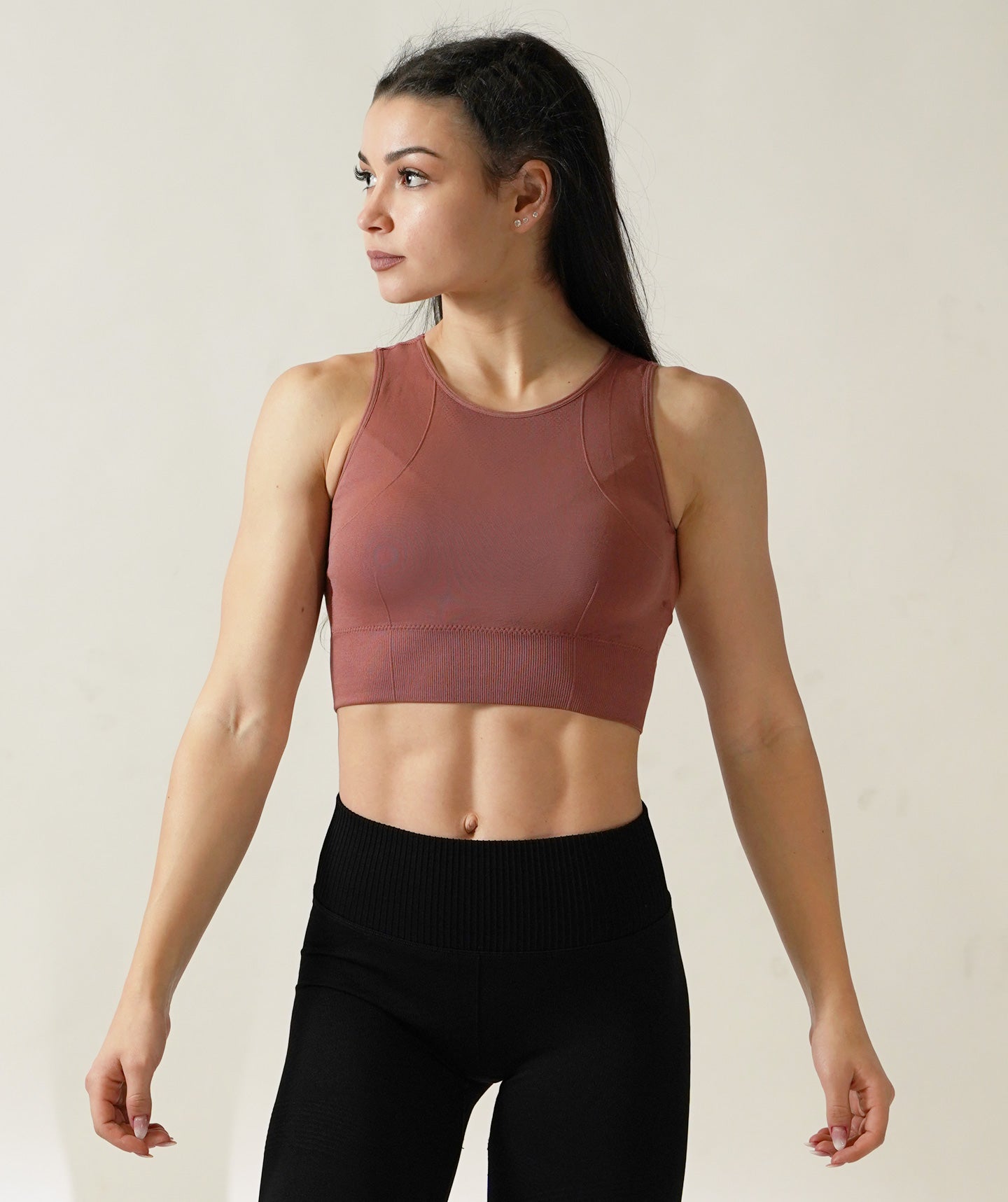 Equinox Crop Top with Transparent Mesh in Indian Red
